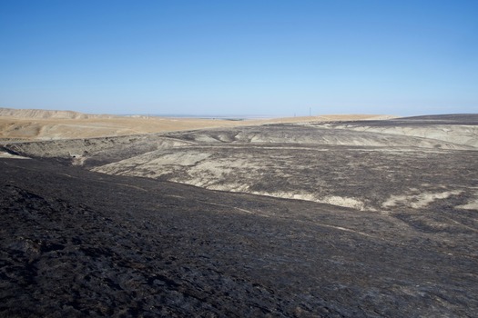 #1: The confluence point lies on a hillside, scorched by a grass fire two months earlier.  (This is also a view to the North, towards Interstate 5 and the Central Valley.)