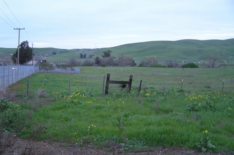 #1: The confluence point is 40 meters to the right of the fence in the middle of this photograph.