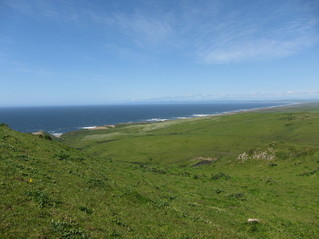 #1: View towards the CP, near the pond in the center, with the Pacific coast beyond