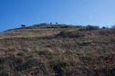 #3: A view South, up a small hill (towards some curious cattle)