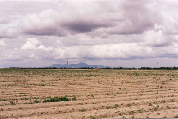 A view of the Sutter Buttes to the NE
