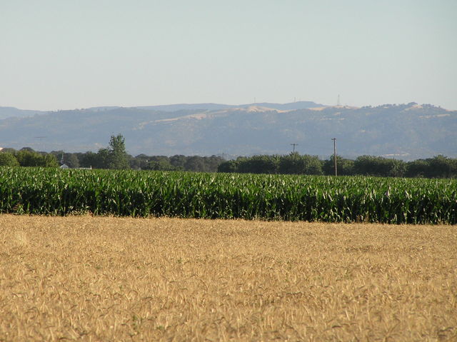 View to the south-southwest from the confluence showing the mountains lining the west edge of the Sacramento Valley.