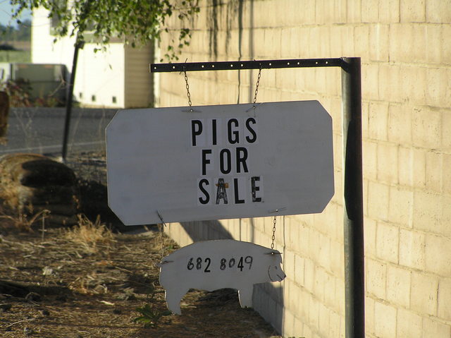 Sign about 3 km north-northwest of the confluence.  I'm sure the pigs feel quite centered.