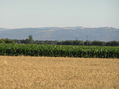 #3: View to the south-southwest from the confluence showing the mountains lining the west edge of the Sacramento Valley.