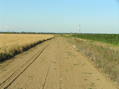 #7: Nearest road to confluence, looking east, a few hundred meters south of the point.  To reach the confluence, I turned left into the wheat field.
