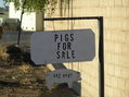 #8: Sign about 3 km north-northwest of the confluence.  I'm sure the pigs feel quite centered.