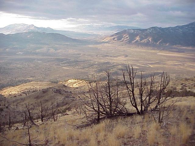 View to the south from the confluence, Nevada at left, California at right.