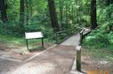 #5: Trailhead between campsites 5 and 6
