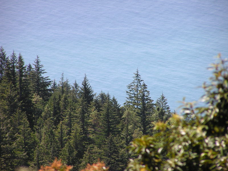 A view of the ocean from the Lost Coast trail, near the confluence point