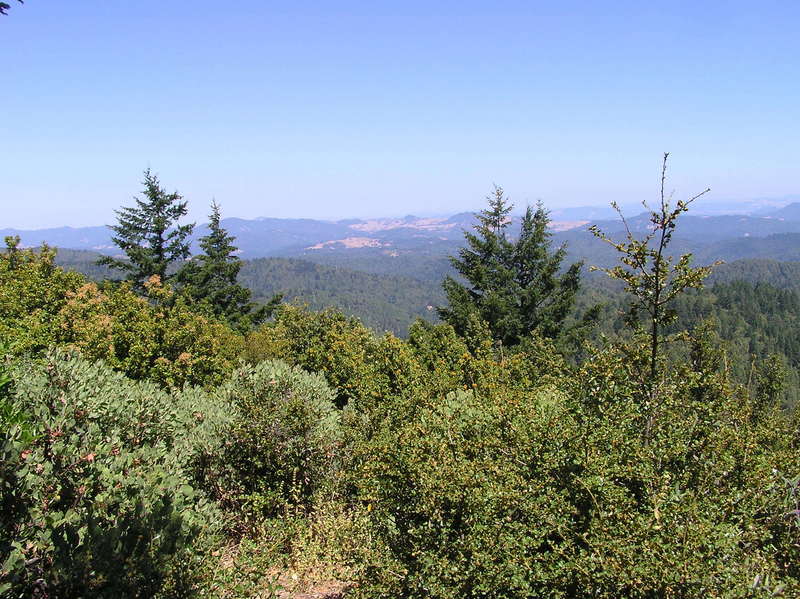 View from the lookout point on Chemise Mountain, on the way to the confluence point