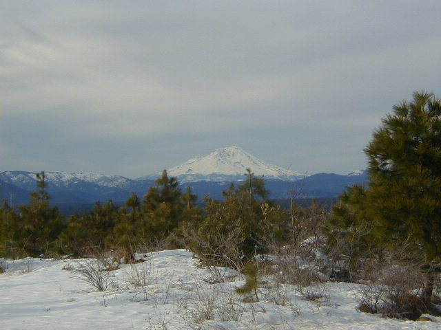 Mt. Shasta from Big Bend Road