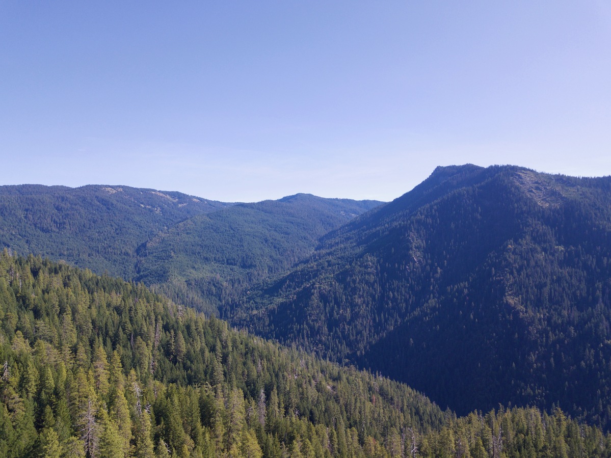 View East (towards Lilly Mountain, elevation 5860 feet, less than a mile away), from 120m above the point