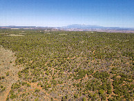 #8: View North (towards the La Sal Mountains), from 120m above the point
