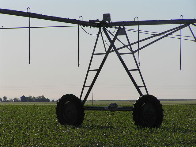 View to the east showing wheels of center pivot irrigation unit.