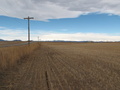 #8: The field North of Baseline Road looking West towards the Rocky Mountains