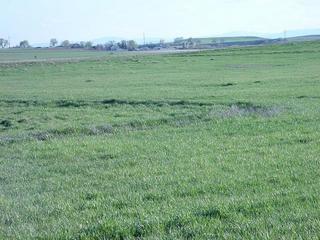 #1: Flat farmland, with mountains in the background.