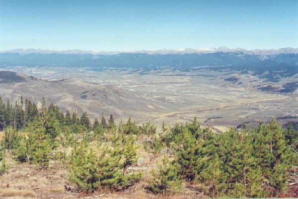 Fraser River Valley, from Blue Ridge, looking northeast