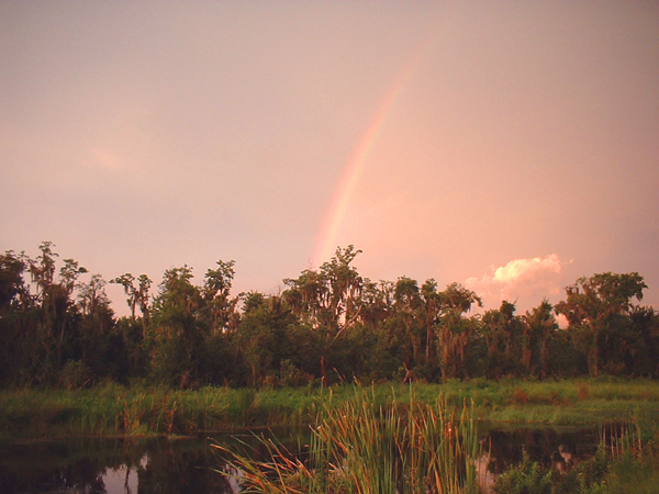 The confluence rainbow.