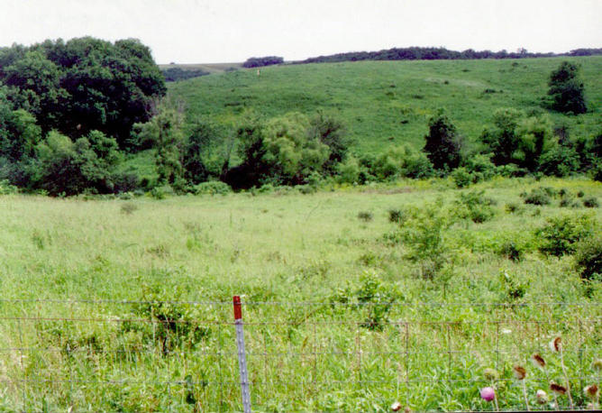 View of the confluence, looking south.  Confluence is straight ahead, 20 meters.