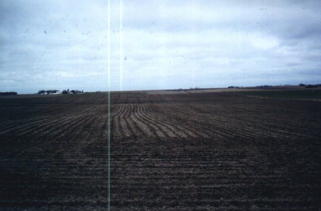 Looking North from the site