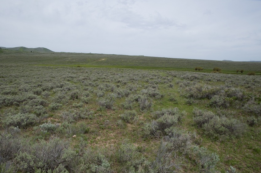 The confluence point lies atop an old road cut, in sagebrush.  (This is also a view to the North.)