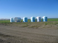 #7: Tanks west of confluence 