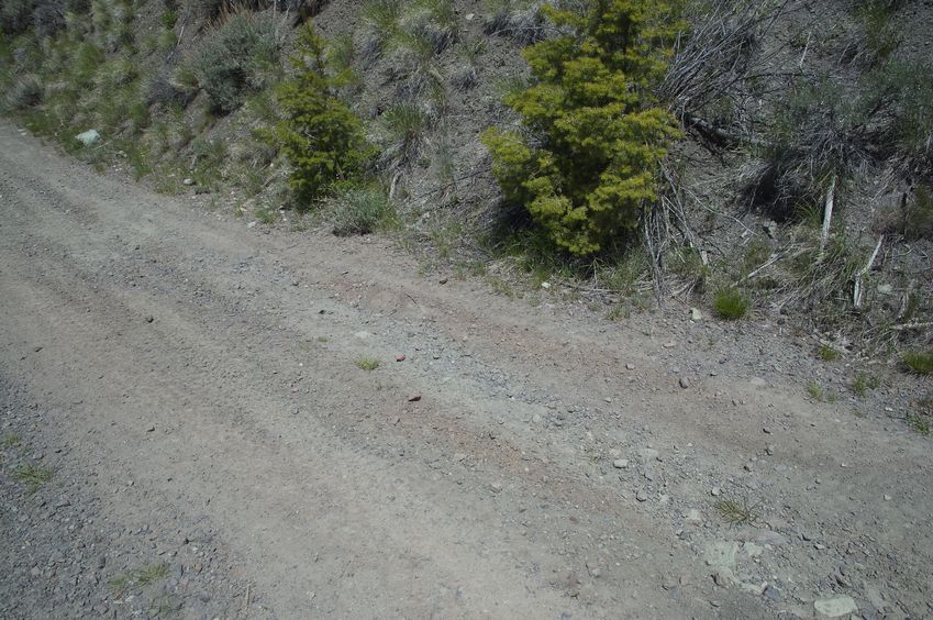 The confluence point lies on this dirt road