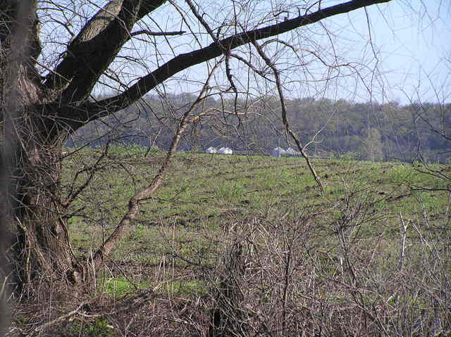 View across the floodplain to the Illinois bluffs from the confluence.