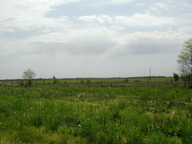 looking toward Dorsey (southeast)