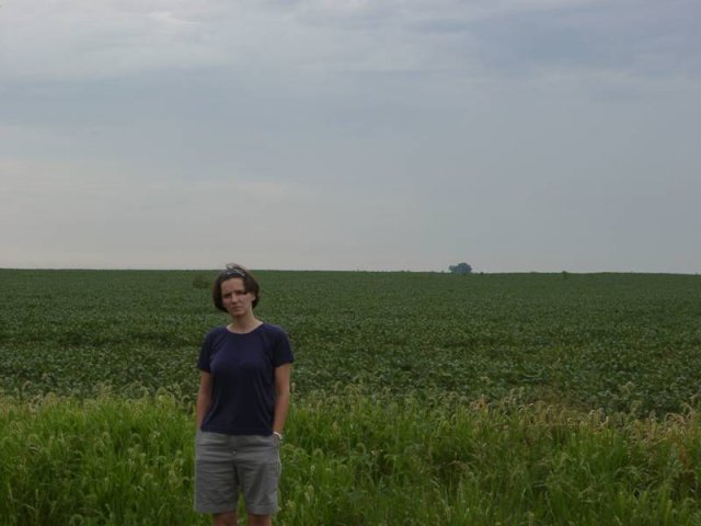 A Soybean Field to the South