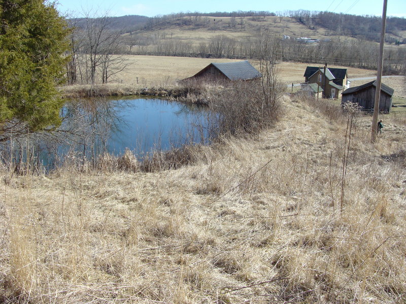 The point is at the left center, in front of the pond.