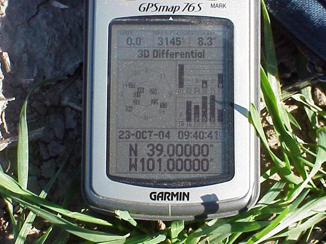 GPS reading at the confluence site with a view of the ground cover.
