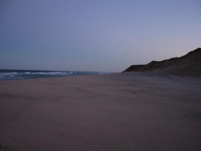 looking South along the beach