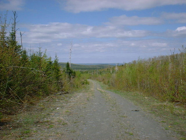 View from the access road.