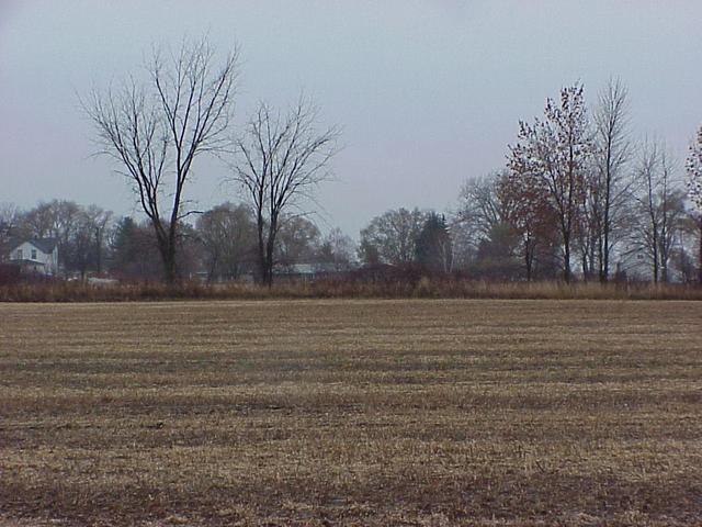View to the west from the confluence site.