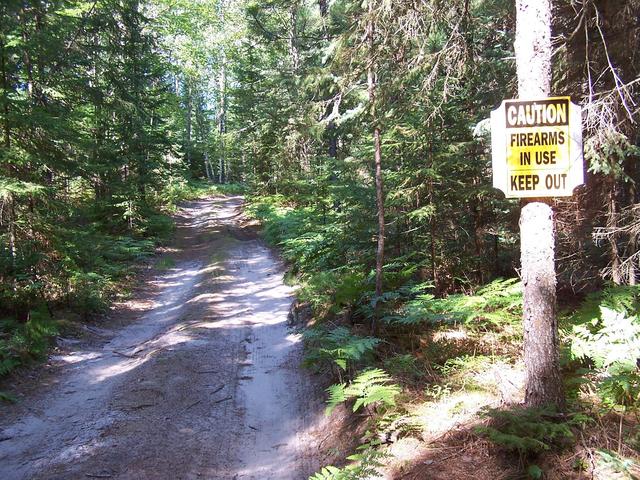 The "road" leading to the cottage.