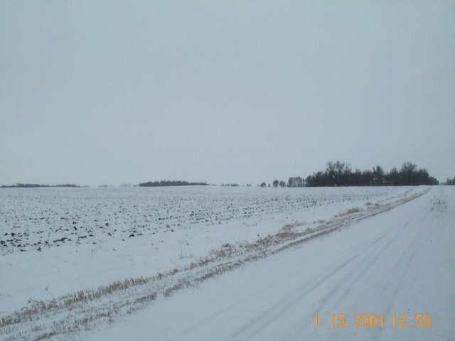 Farmsite from the NW.  The confluence lies to the left of the farmsite on the right side of the picture.
