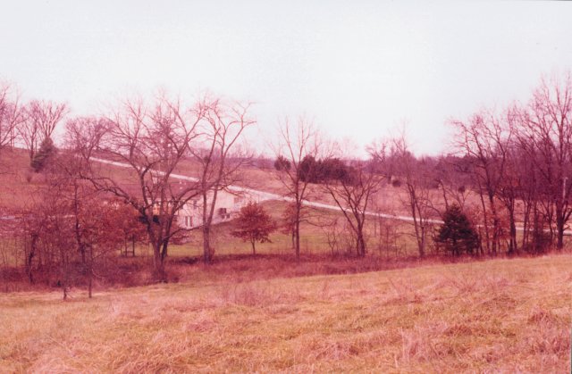 Looking northeast towards the property owner's house