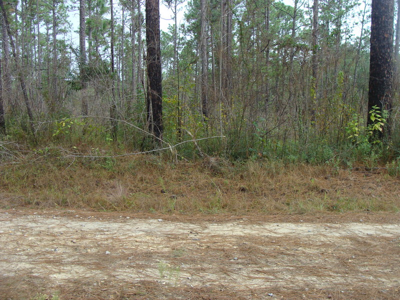 Just two counties further over, and 42 miles to the south, lies the Gulf of Mexico.