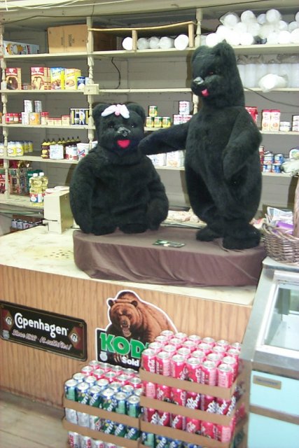 The (Former) Dancing Bears of Onward Store