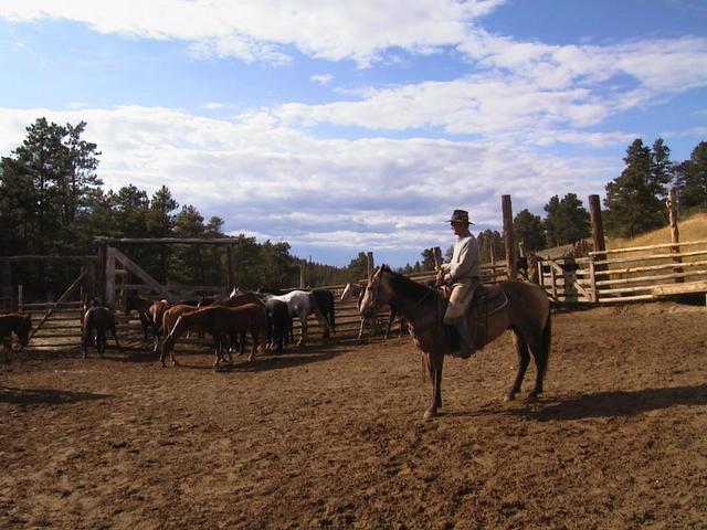 Rancher Dave Bliss working with his horses