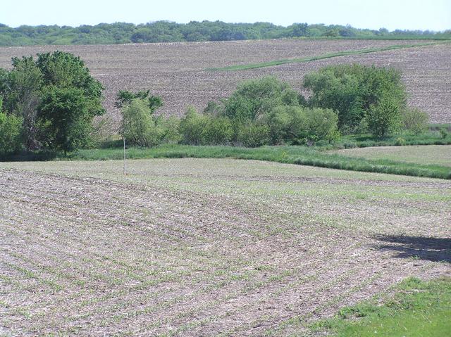 The confluence, looking southwest from Highway 66, lies in the center of the photograph, before the trees.