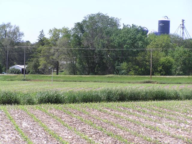 Agricultural view to the west northwest from the confluence.