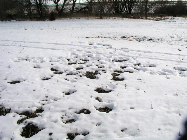 Leftover footprints from the previous visit mark 41N 96W.