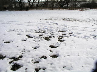 #1: Leftover footprints from the previous visit mark 41N 96W.
