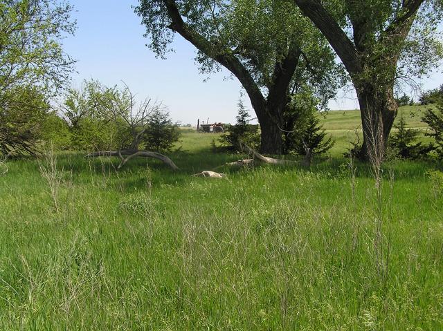 Looking north-northeast at the landowner's tractor, 130 meters west of the confluence.