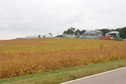 #8: View of Farm from road NE