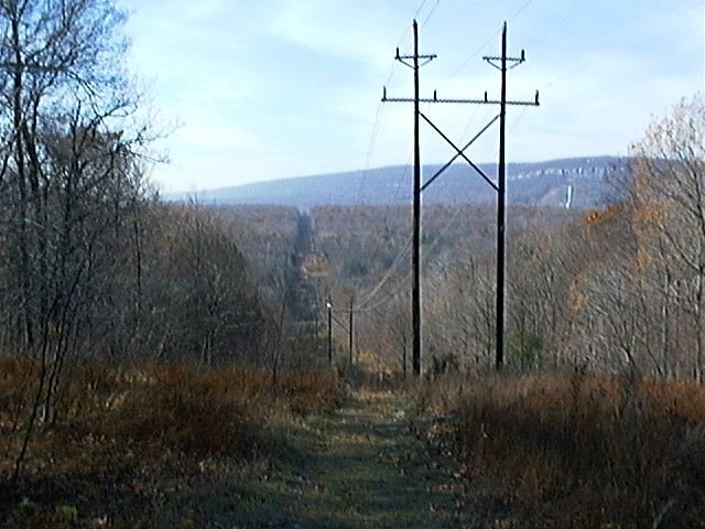 Large towers carrying high voltage cut a swath through the forested area.