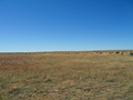 #4: View West