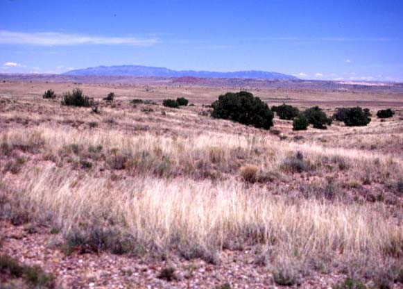 Looking east at the Sandia Mountains, east of Albuquerque